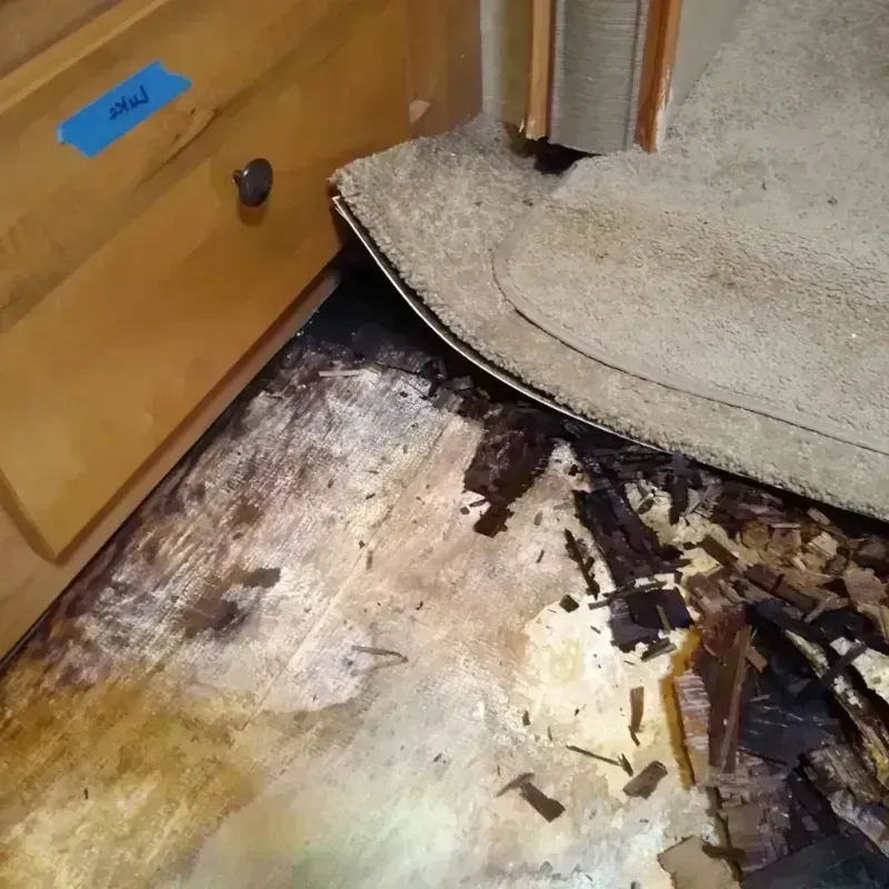 Wood Floor Water Damage in Rochester, MN